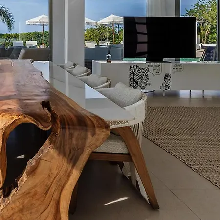 公寓 Super Views In Mykonos 普沙罗